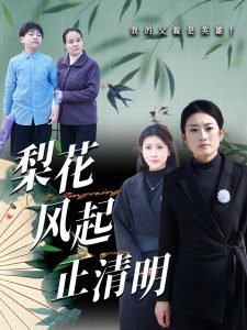 梨花风起正清高清播放