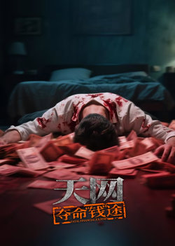 天网：夺命“钱”途在线观看