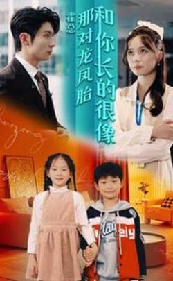 霍总，那对龙凤胎长得和你好像高清播放