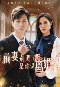 前妻别哭了是你说离婚的高清播放