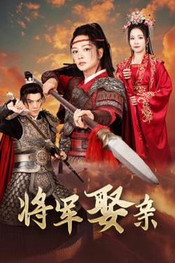 将军娶亲高清播放