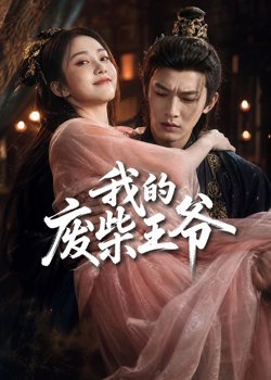 我的废柴王爷高清播放