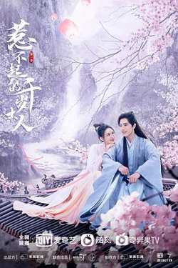 惹不起的千岁大人在线观看