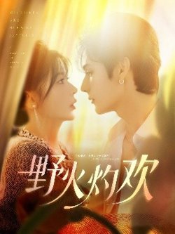 野火灼欢高清播放