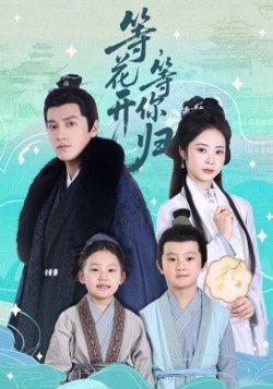 等花开 等你归在线观看