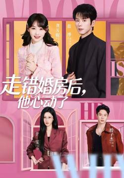 走错婚房后，他心动了高清播放