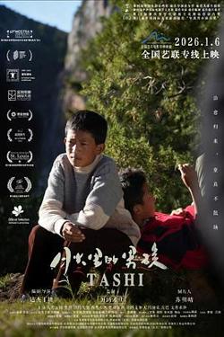 月光里的男孩预告片在线观看