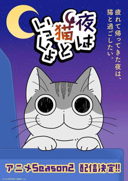 关于养猫我一直是新手 第二季高清播放