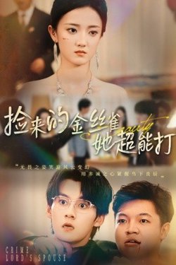 捡来的金丝雀她超能打高清播放