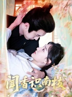 闻香识南枝高清播放