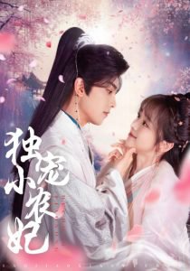 独宠小农妃在线观看