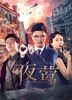 夜莺高清播放