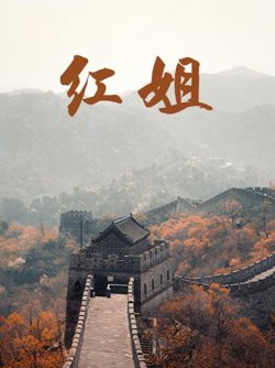 红姐2017高清播放