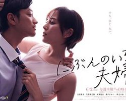 二分之一的夫妇在线观看