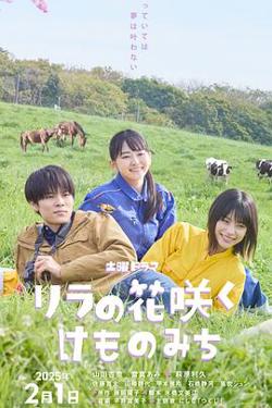 丁香花开的兽道高清播放
