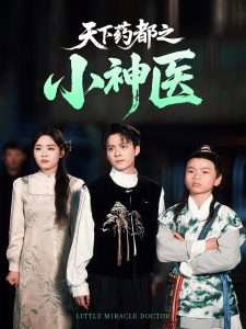 天下药都之小神医高清播放