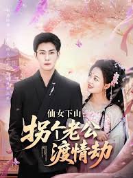 仙女下山拐个老公渡情劫高清播放