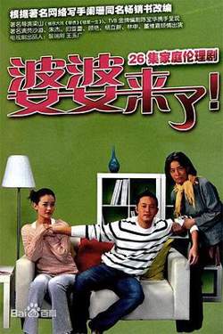 婆婆来了高清播放