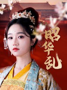 昭华乱在线观看