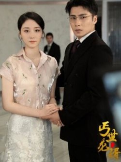 丐世龙婿高清播放