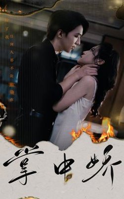 掌中娇高清播放