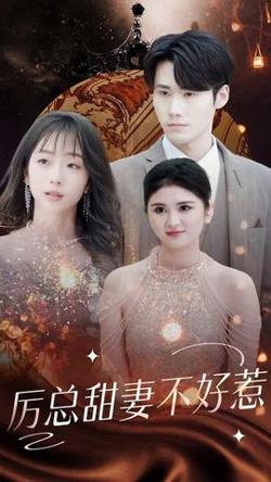 历总前妻不好惹高清播放