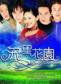 流星花园2001在线观看