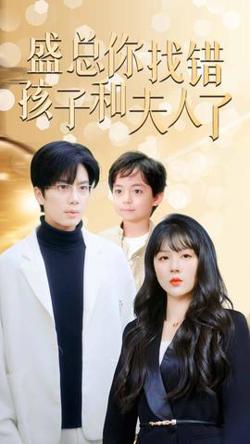 盛总你找错孩子和夫人了在线观看