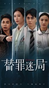 替罪迷局高清播放