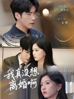我真没想离婚啊高清播放