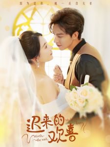 迟来的欢喜短剧在线观看