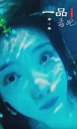 一品毒妃在线观看