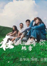 在有风的地方等你在线观看