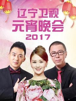 辽宁卫视元宵晚会 2017在线观看