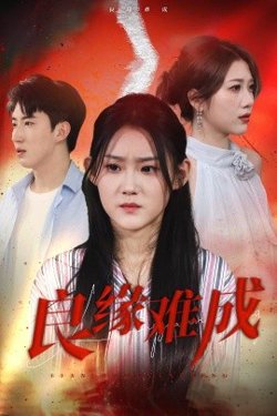 良缘难成高清播放