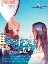 漂洋过海遇见你在线观看