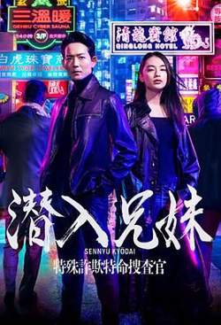 潜入兄妹 特殊诈欺特命搜查官在线观看