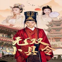 无双小县令高清播放