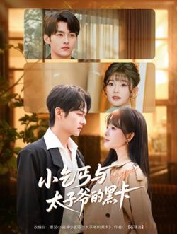 小乞丐与太子爷的黑卡高清播放