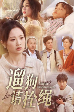 遛狗请拴绳，脱缰现世报高清播放