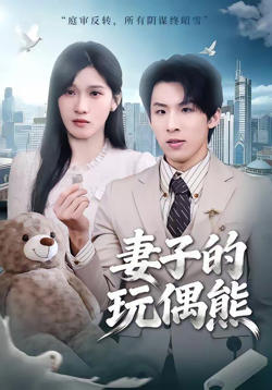 妻子的玩偶熊高清播放