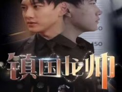 新版：镇国龙帅高清播放