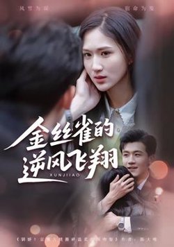 金丝雀的逆风飞翔在线观看
