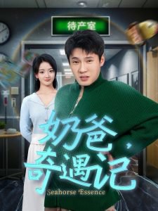 奶爸奇遇记在线观看