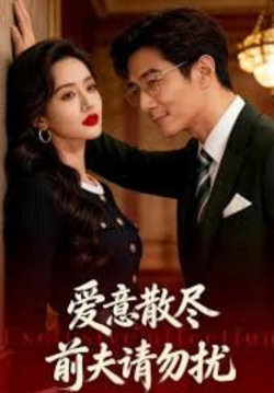 爱意散尽:前夫请勿扰