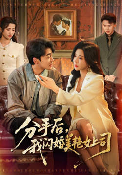 分手后，我闪婚美艳女上司高清播放