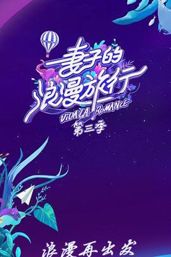 妻子的浪漫旅行 第三季在线观看