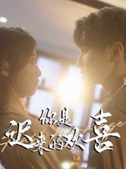 你是迟来的欢喜78集在线观看
