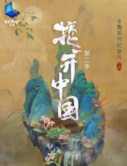 花开中国 第二季在线观看