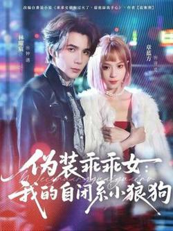 伪装乖乖女：我的自闭系小狼狗高清播放